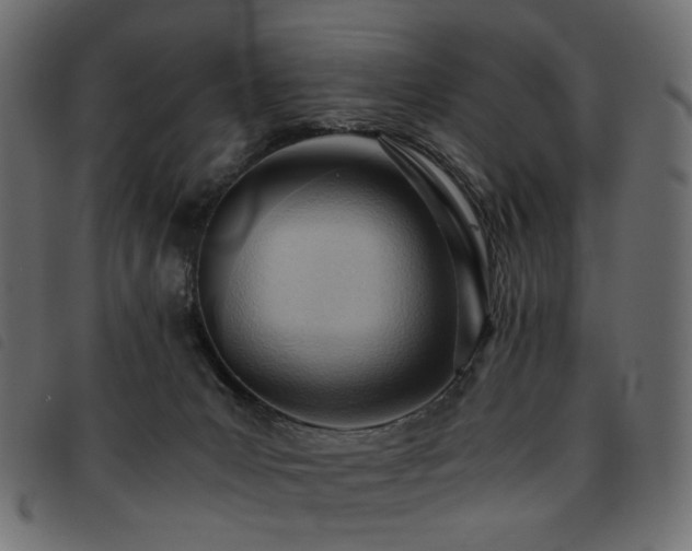 X0000093770031200710161250