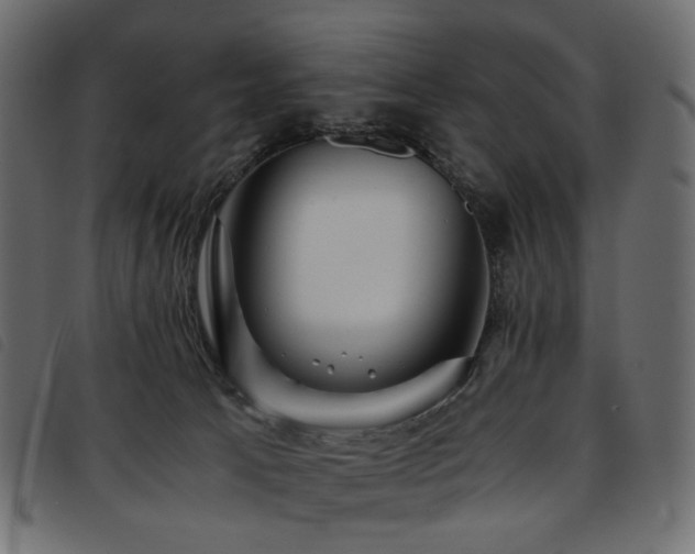 X0000093770033200710161250