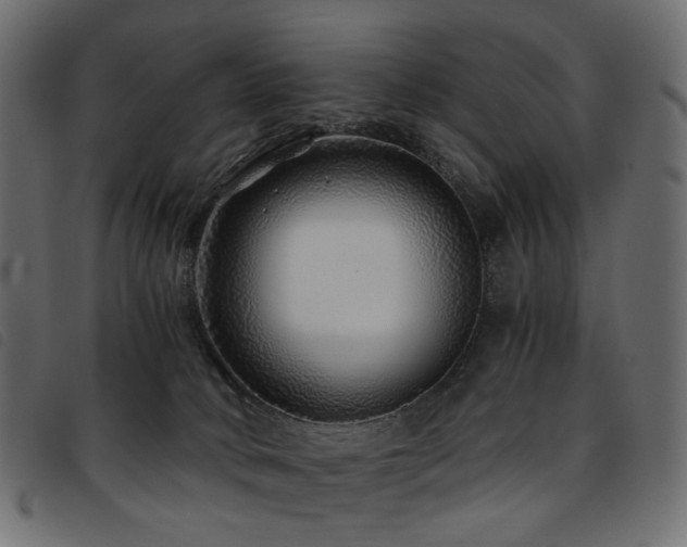 X0000093770034200710161250