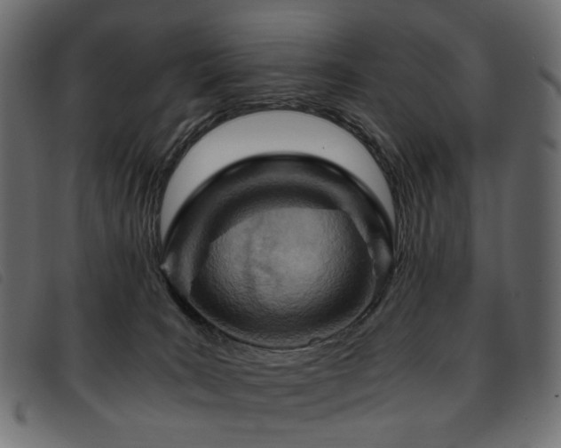 X0000093770035200710161250