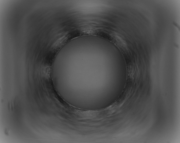 X0000093770036200710161250