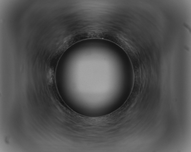 X0000093770038200710161250