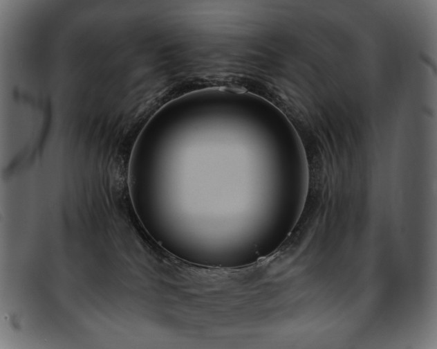 X0000093770040200710161250