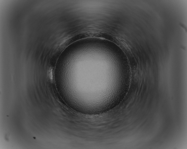 X0000093770042200710161250