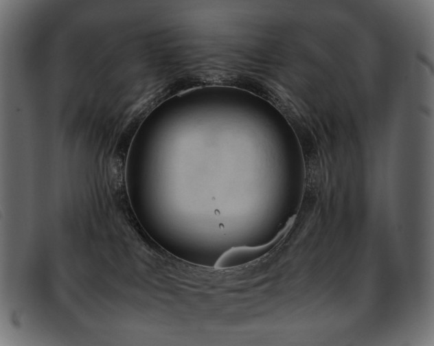 X0000093770043200710161250