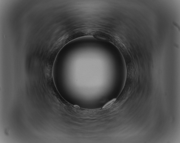 X0000093770044200710161250