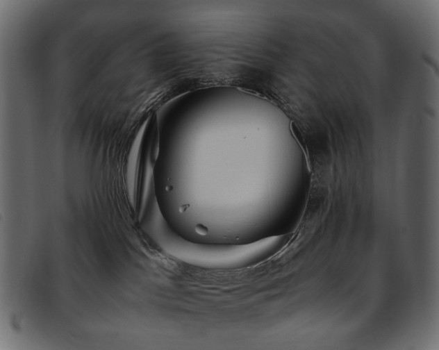 X0000093770045200710161250