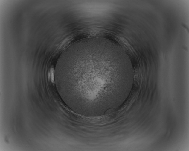 X0000093770046200710161250