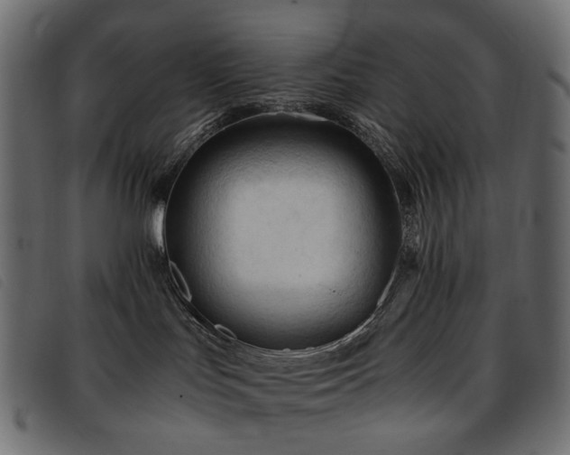 X0000093770047200710161250