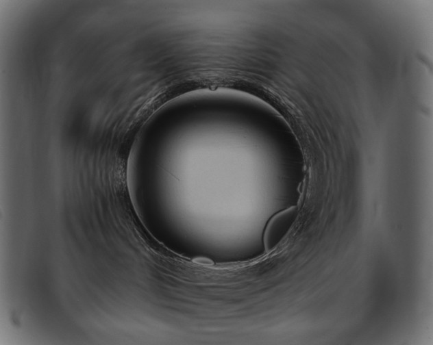 X0000093770048200710161250