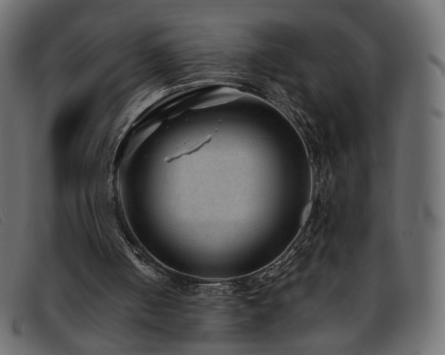 X0000093770050200710161250