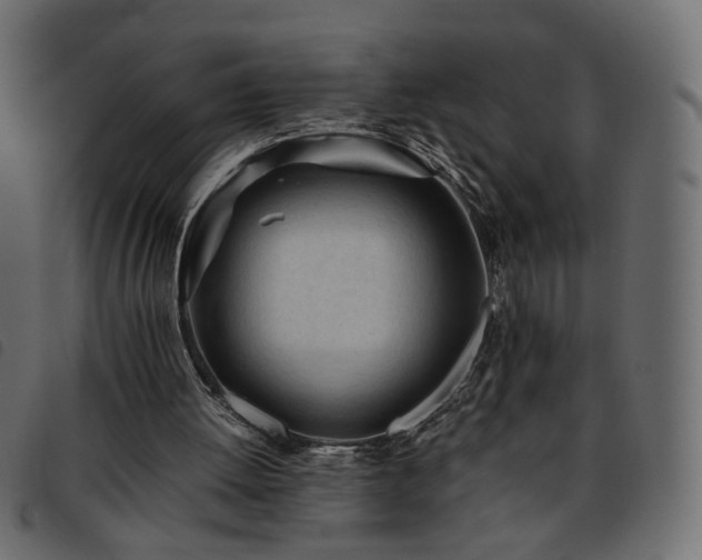 X0000093770052200710161250