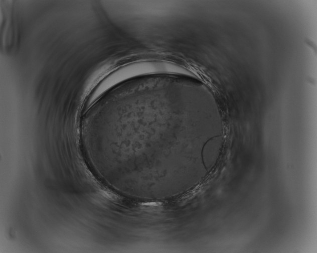 X0000093770053200710161250