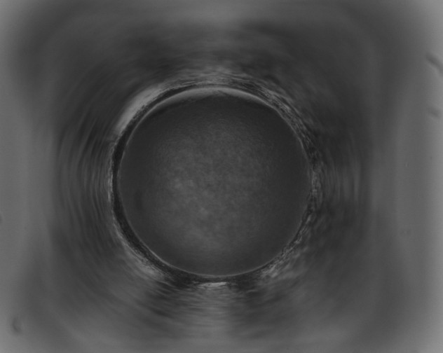 X0000093770054200710161250