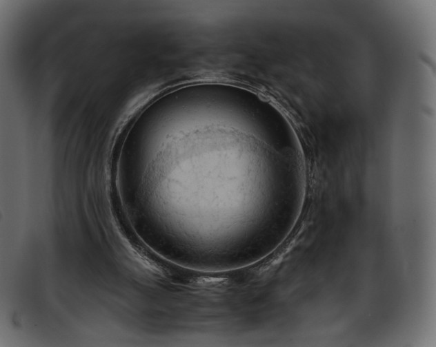 X0000093770055200710161250