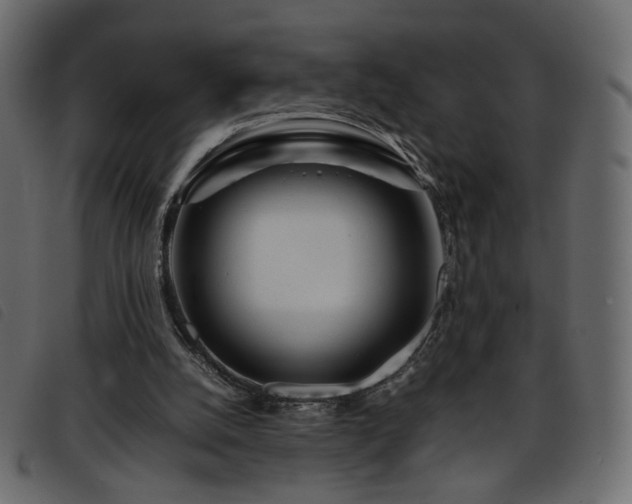 X0000093770056200710161250