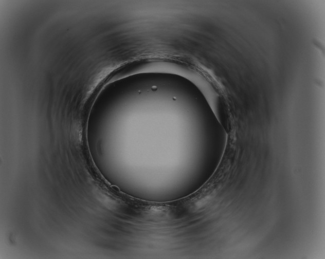 X0000093770060200710161250