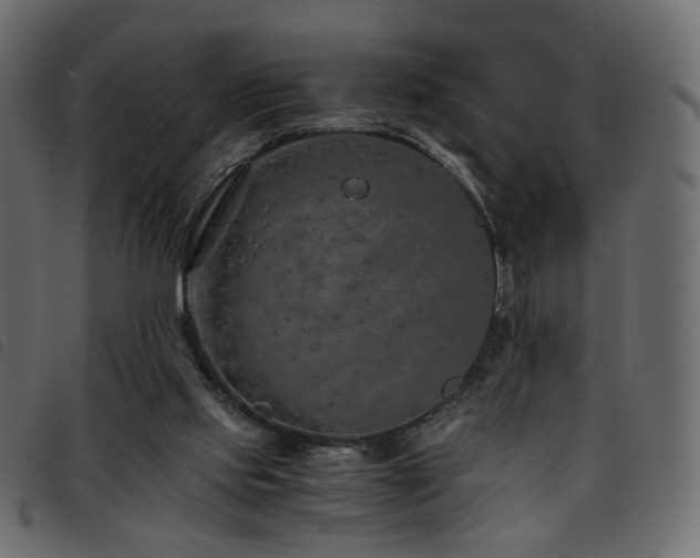 X0000093770061200710161250