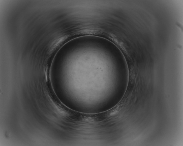 X0000093770062200710161250