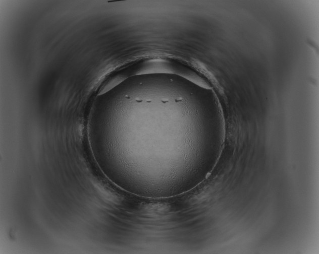 X0000093770063200710161250