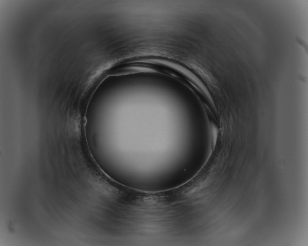 X0000093770064200710161250