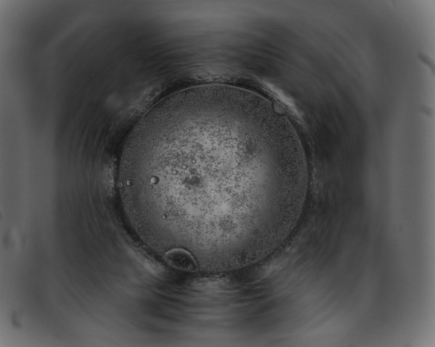 X0000093770065200710161250