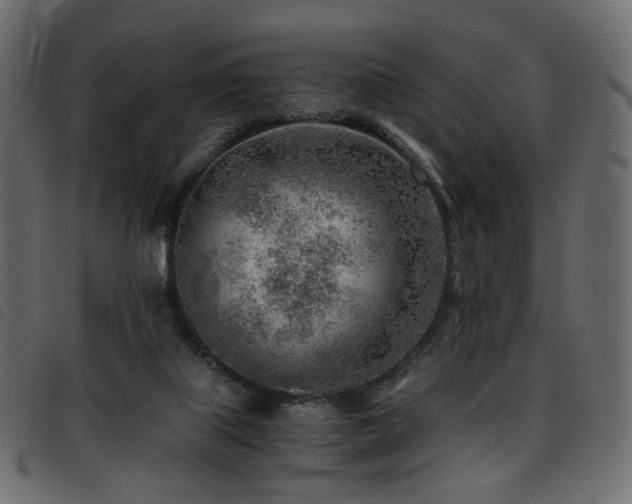X0000093770067200710161250