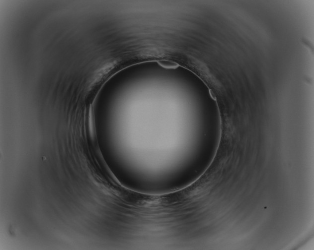 X0000093770068200710161250