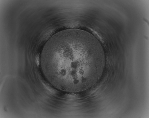 X0000093770069200710161250