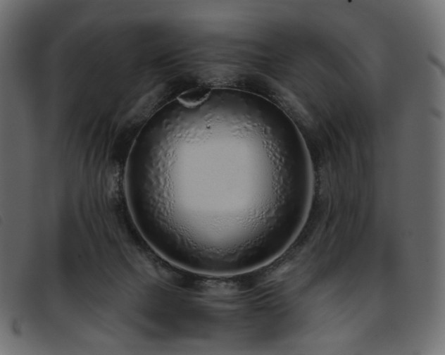 X0000093770073200710161250