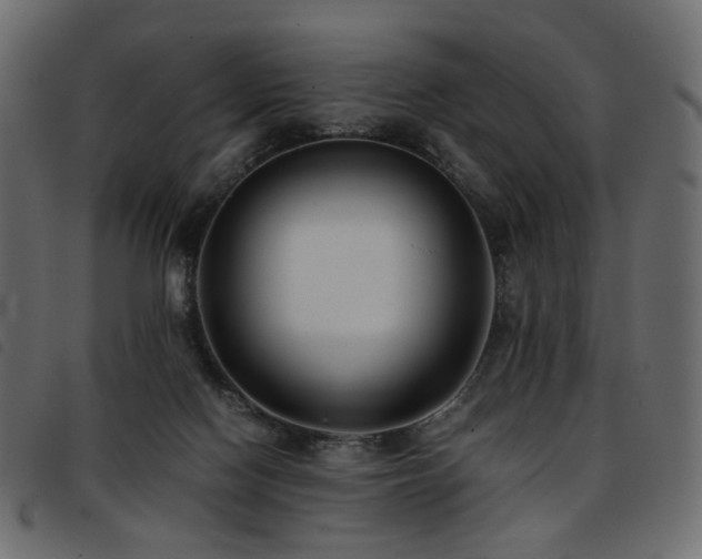 X0000093770074200710161250