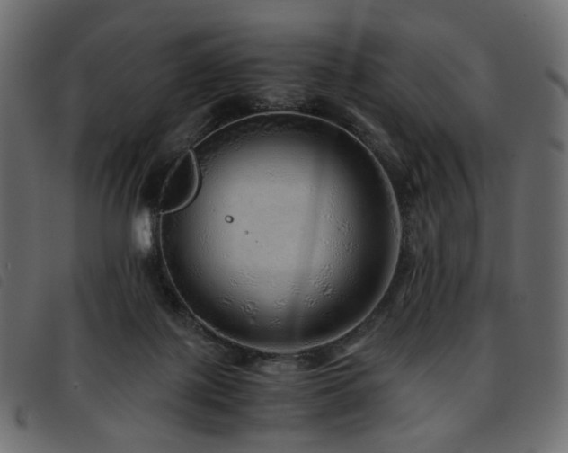 X0000093770075200710161250