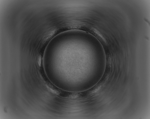 X0000093770076200710161250