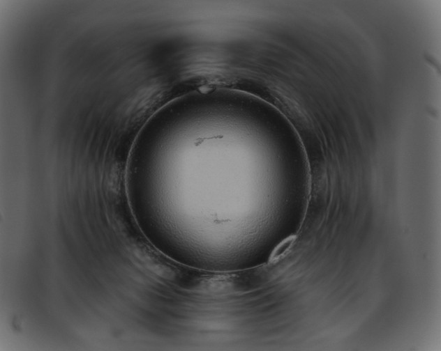 X0000093770078200710161250