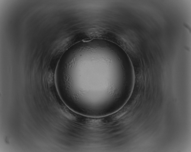 X0000093770081200710161250