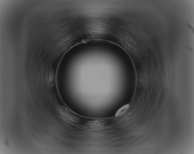 X0000093770082200710161250