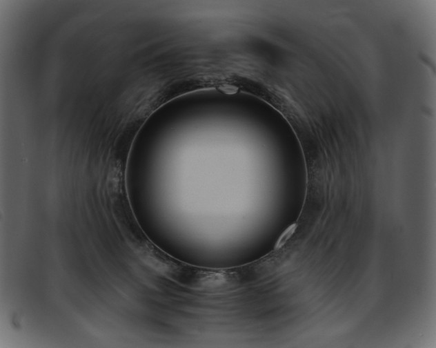 X0000093770083200710161250