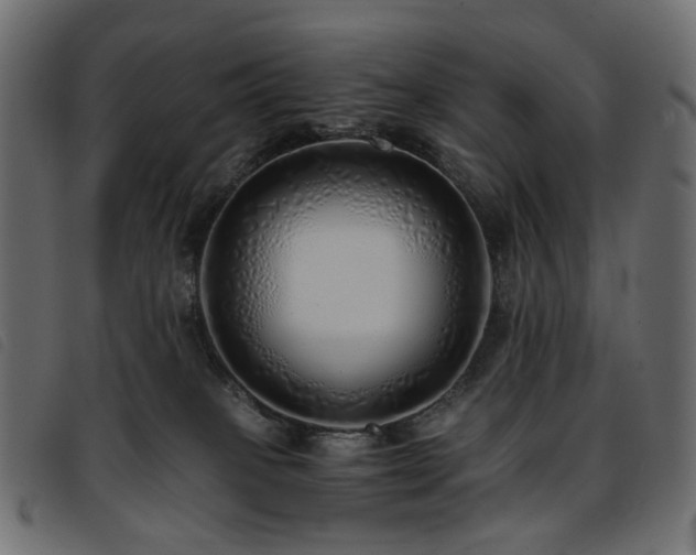 X0000093770085200710161250