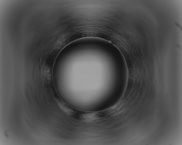 X0000093770086200710161250