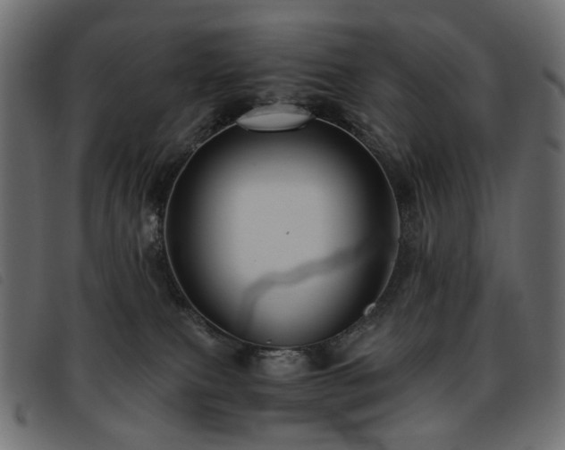 X0000093770087200710161250