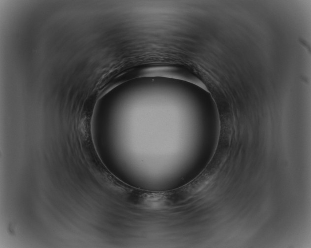 X0000093770088200710161250