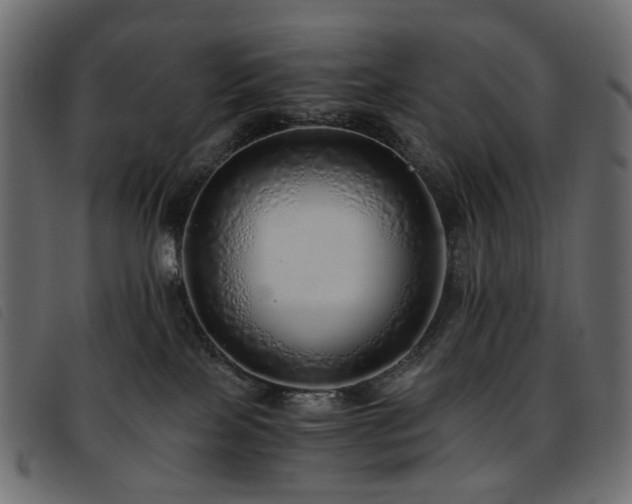 X0000093770089200710161250