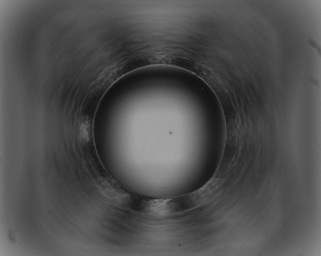 X0000093770090200710161250