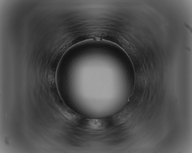 X0000093770091200710161250