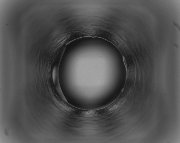 X0000093770092200710161250