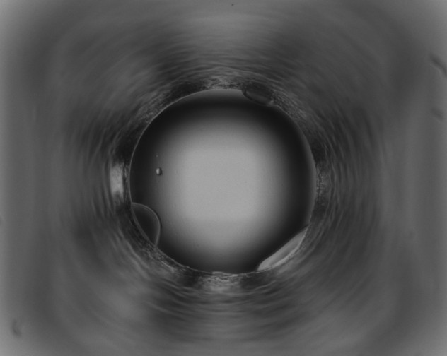 X0000093770094200710161250