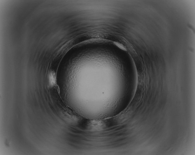 X0000093770095200710161250