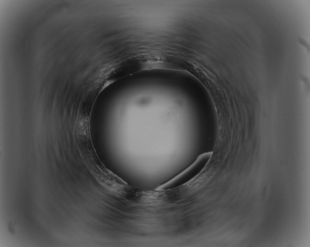 X0000093770096200710161250