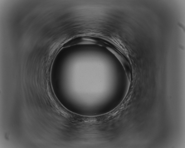 X0000093770097200710161250