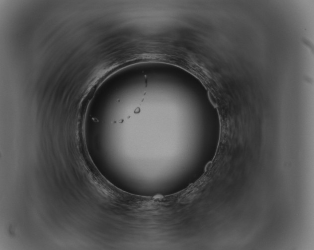 X0000093770098200710161250